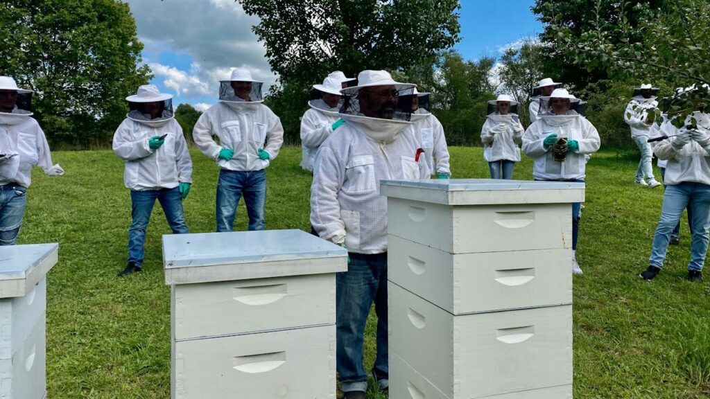 Group of people in beekeeping suits managing bee hives outdoors in Pennsylvania.